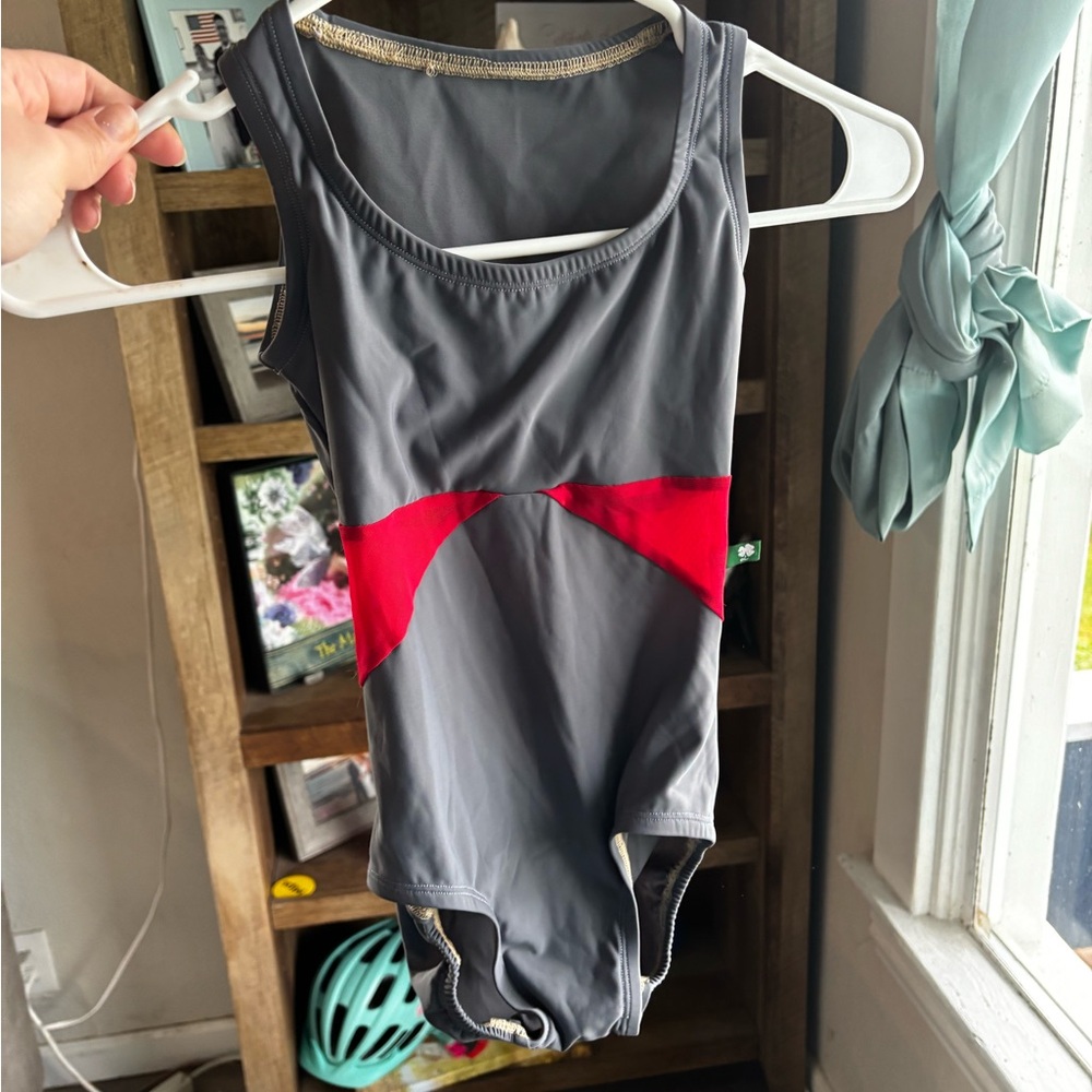 Gray and Red leotard